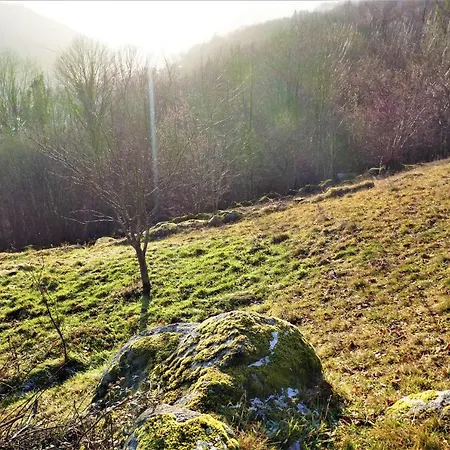Panorama Bressaud * La Bresse